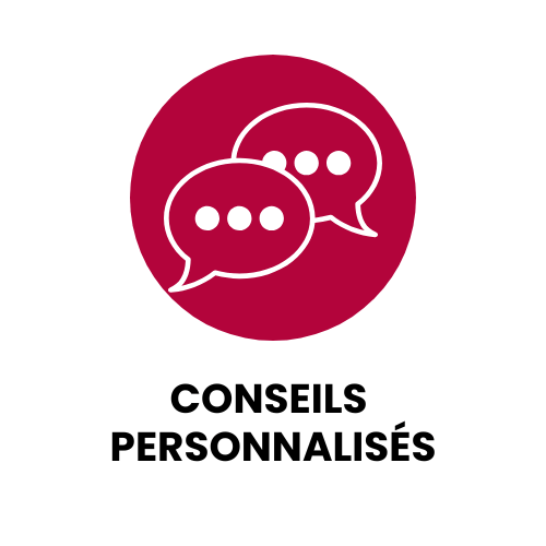 Conseils personnalisés de Sureal2 pour la sécurité et le choix de coffres-forts à Dijon et Strasbourg
